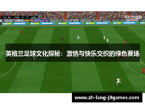 英格兰足球文化探秘：激情与快乐交织的绿色赛场