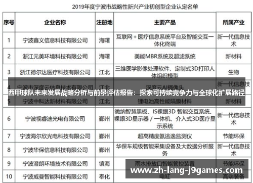 西甲球队未来发展战略分析与前景评估报告：探索可持续竞争力与全球化扩展路径